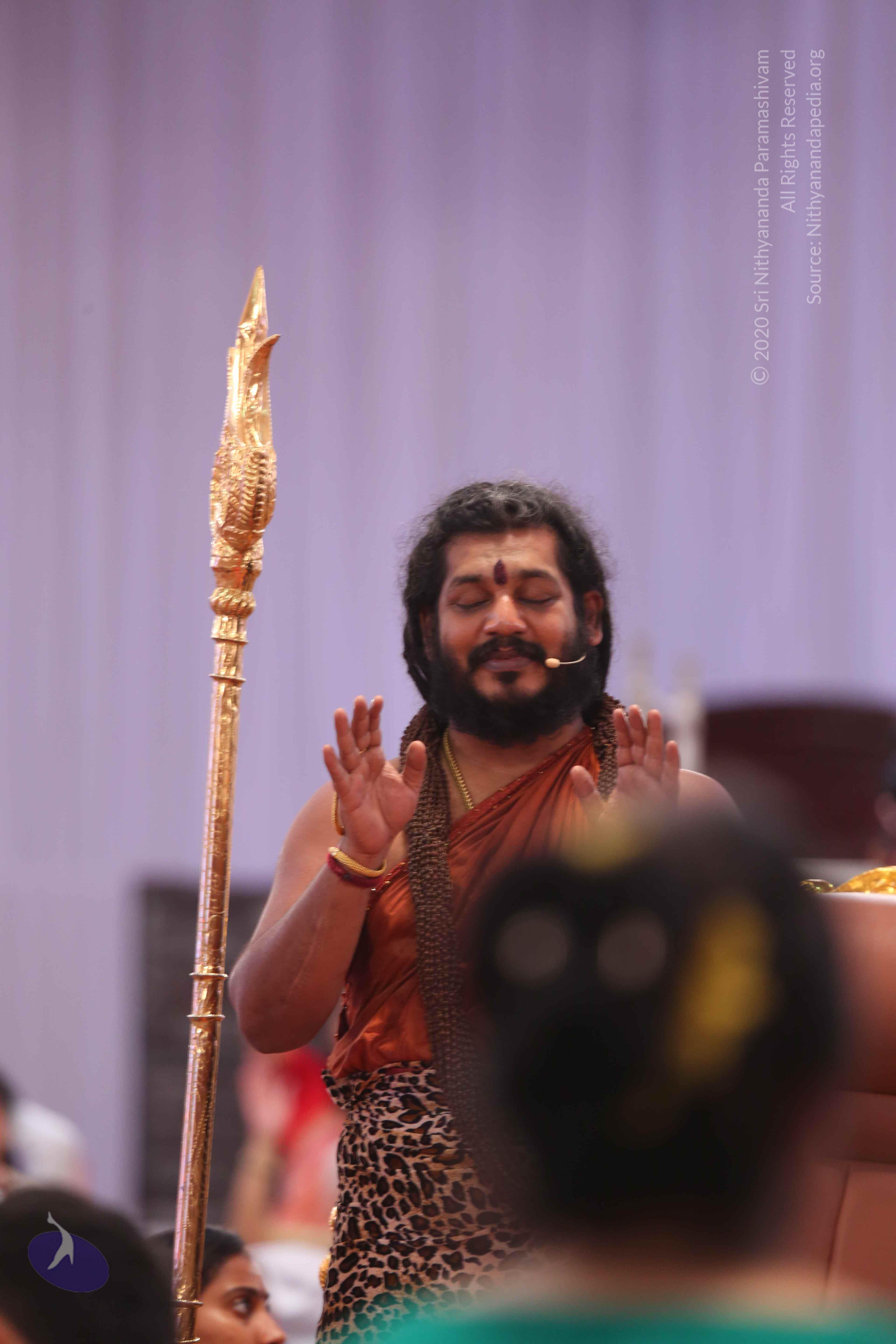 20161204_Photo_1075_IMGL5680_CMP_WM